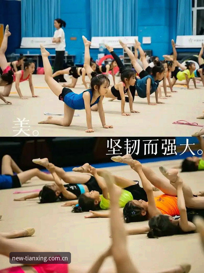 天行体育2026旧版与新版全面对比：升级后的直播体验究竟值不值得换？